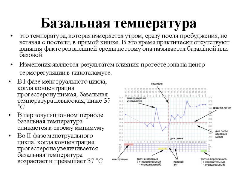 Базальная температура В І фазе менструального цикла, когда концентрация прогестерону низкая, базальная температура невысокая, Базальная температура В І фазе менструального цикла, когда концентрация прогестерону низкая, базальная температура невысокая,